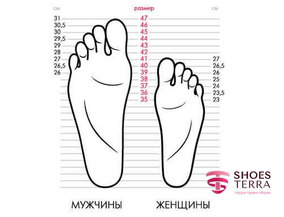 Таблица размеров обуви