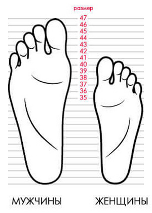 Таблица размеров обуви